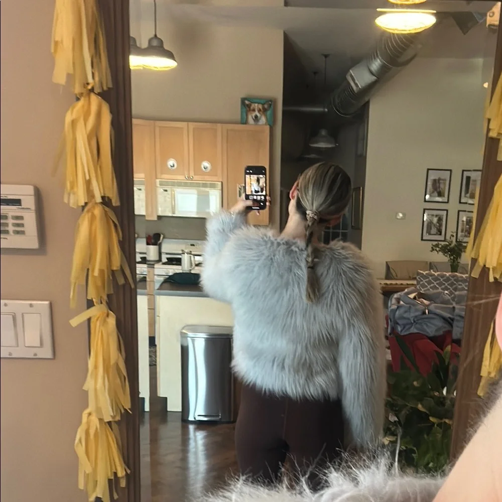 Zara Gray/Light Blue Cropped Plush Faux Fur - Picture 4 of 4